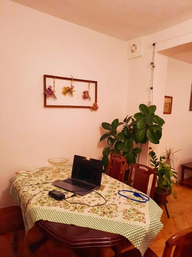 Villa Sunshine House Pančevo Exterior foto
