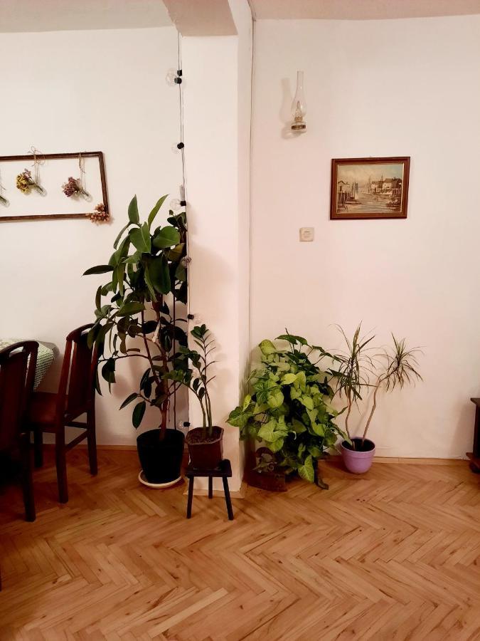 Villa Sunshine House Pančevo Exterior foto