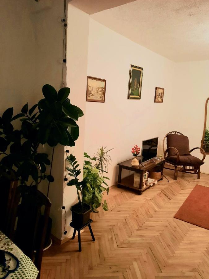 Villa Sunshine House Pančevo Exterior foto